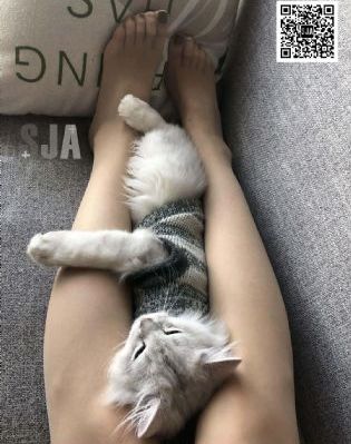 亚洲日韩av一区二区三区中_国产剧在线观看视频