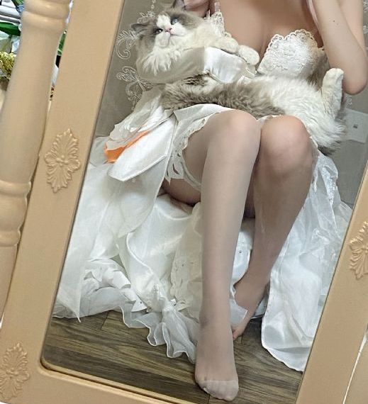 无码少妇精品一区二区免费动态_BD神马在线观看