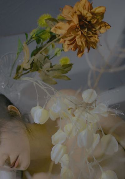 丁香花免费观看大全电视剧_DVD韩国电影在线观看